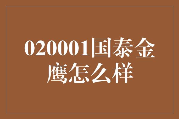 020001国泰金鹰怎么样