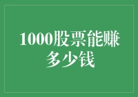 1000股票的投资潜力：从入门到精通