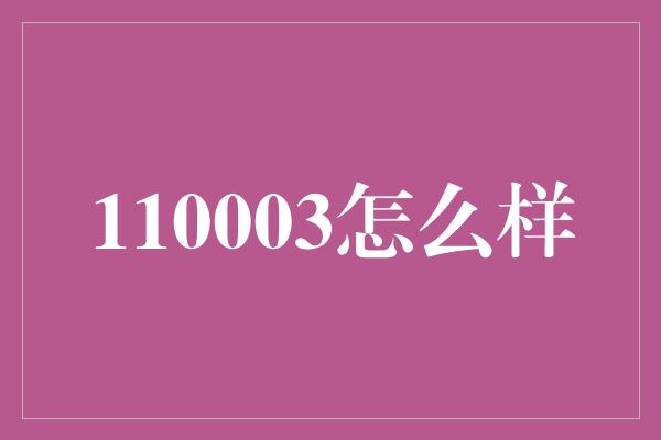 110003怎么样