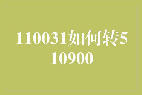 110031如何转510900