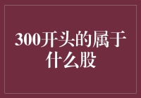 300开头的股票是啥股？揭秘那些被忽视的股市暗夜精灵