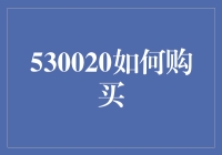 530020如何购买？别急，这是一本失踪的购物指南