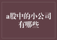 A股中的那些小巨人：隐藏在角落里的宝藏企业