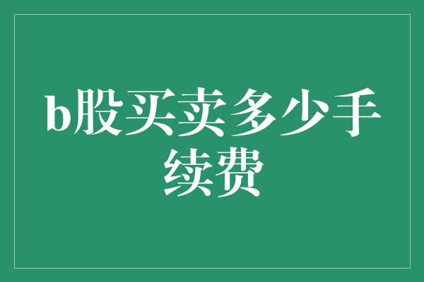 b股买卖多少手续费