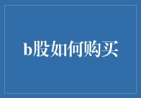 B股购买指南：如何优化您的海外投资组合