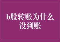 B股转账未到账的可能原因与解决策略