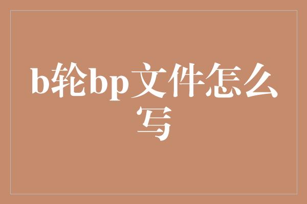 b轮bp文件怎么写