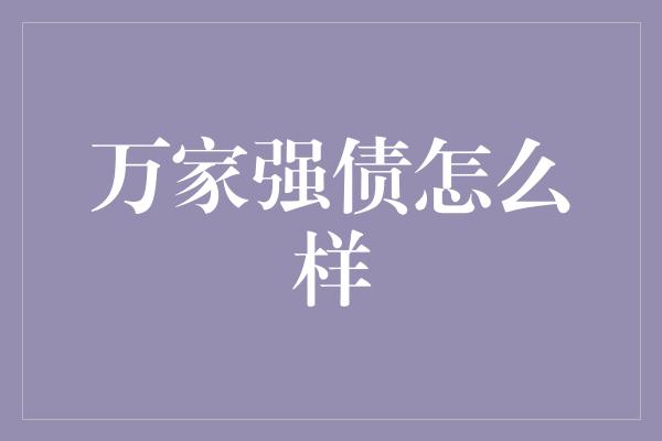 万家强债怎么样