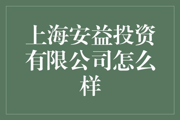 上海安益投资有限公司怎么样