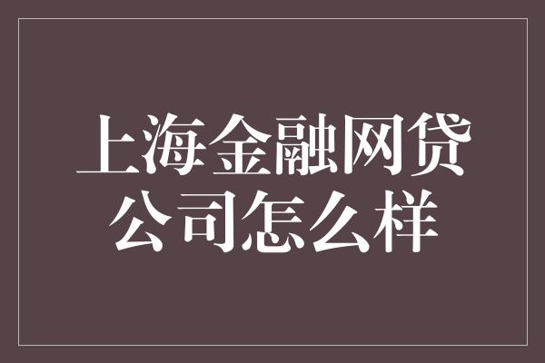 上海金融网贷公司怎么样