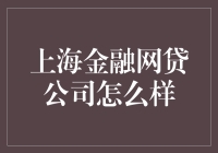 上海金融网贷公司：机遇与挑战并存的新兴市场