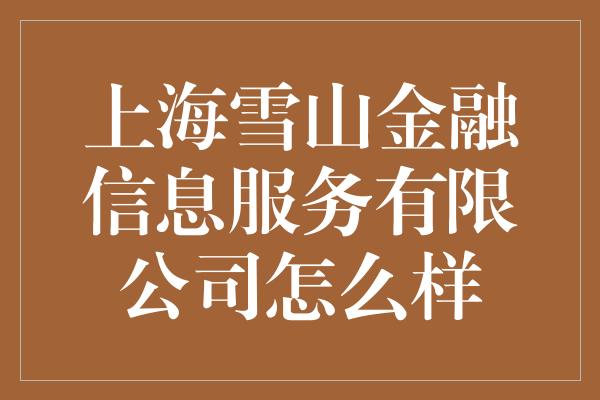 上海雪山金融信息服务有限公司怎么样