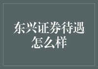 东兴证券待遇怎么样：全面解析证券行业新星的吸引力