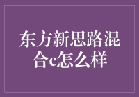 东方新思路混合C：引领未来投资的新标杆