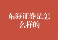 东海证券：专业金融服务的领跑者