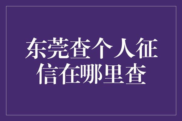 东莞查个人征信在哪里查