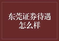 东莞证券待遇究竟如何？揭秘背后真相！