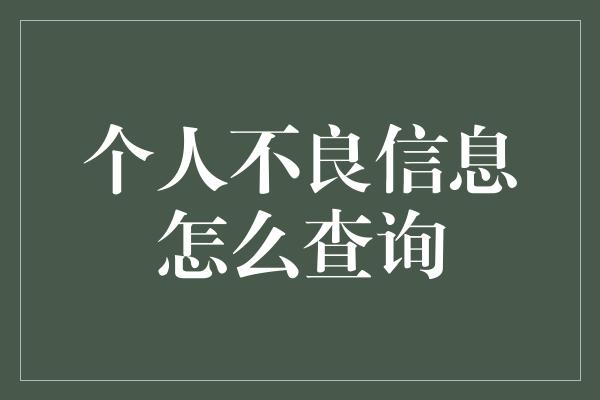 个人不良信息怎么查询