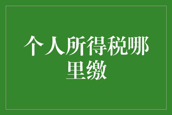 个人所得税哪里缴