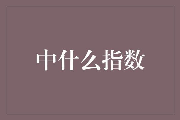 中什么指数