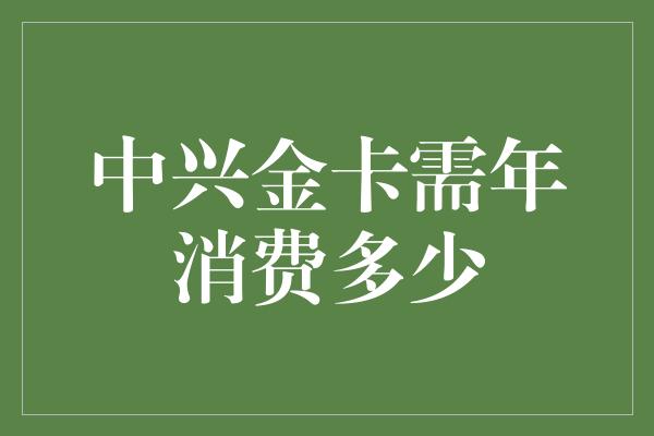 中兴金卡需年消费多少