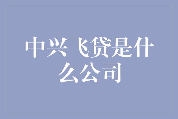 中兴飞贷是什么公司