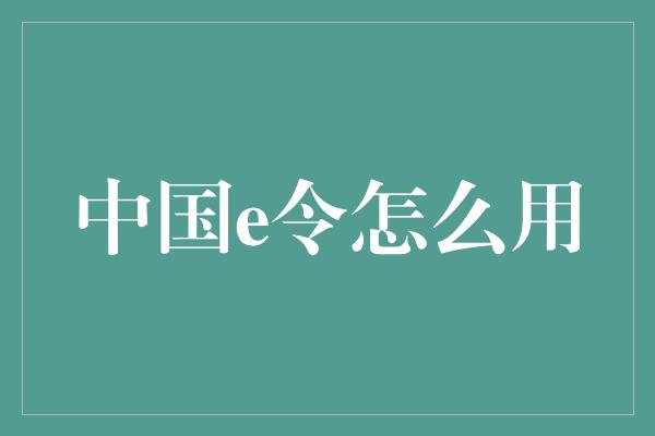 中国e令怎么用