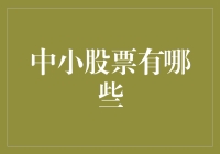 中小股票的投资机会与风险——以A股市场为例