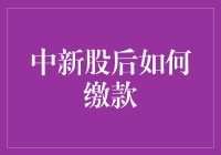 中签后如何完成新股缴款？——一份详尽指南