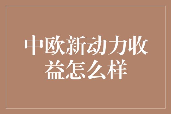 中欧新动力收益怎么样