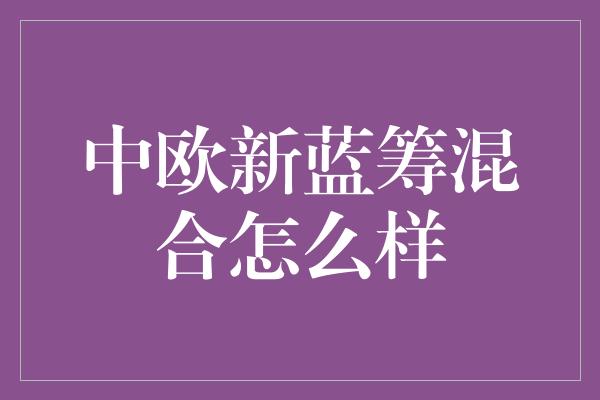 中欧新蓝筹混合怎么样