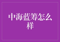 中海蓝筹基金深度解析：稳健增长的投资机遇