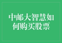 中邮大智慧的智慧：如何用最愚蠢的方式购买股票