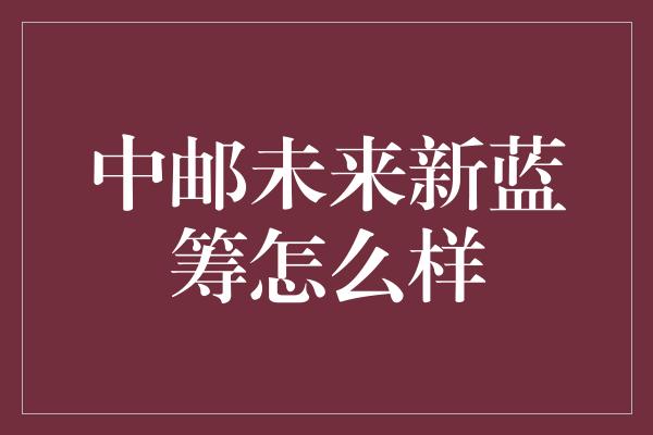 中邮未来新蓝筹怎么样