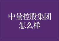 中量控股集团怎么样？你的投资选择明智吗？