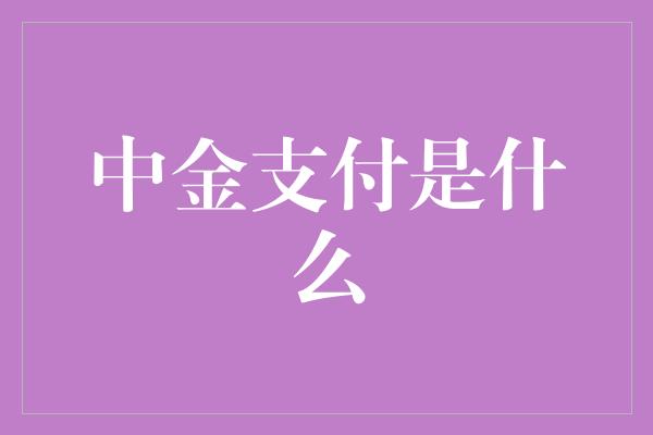 中金支付是什么