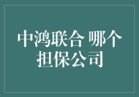 中鸿联合：专业担保公司的选择与考量