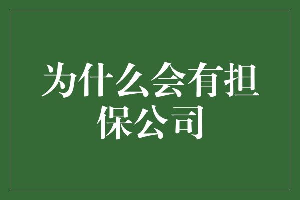 为什么会有担保公司