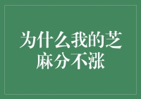 芝麻分不涨背后的逻辑与优化建议