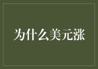 美元强势背后：全球金融结构的力量与挑战