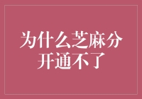 为什么芝麻信用分开通不了：背后的技术与政策考量