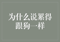 为啥说累得跟狗一样？揭秘金融新人的辛酸日常