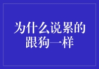 为何我们总感觉'累得像狗一样'？