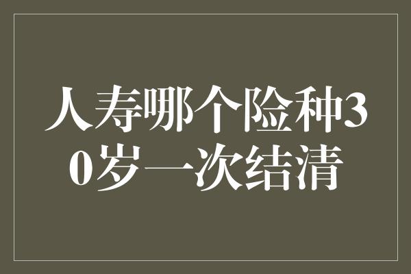 人寿哪个险种30岁一次结清