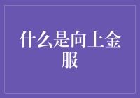 向上金服：让理财变成一场可以与熊掌同步的冒险