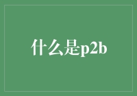 什么是P2B？——从理论到实践的全面解析