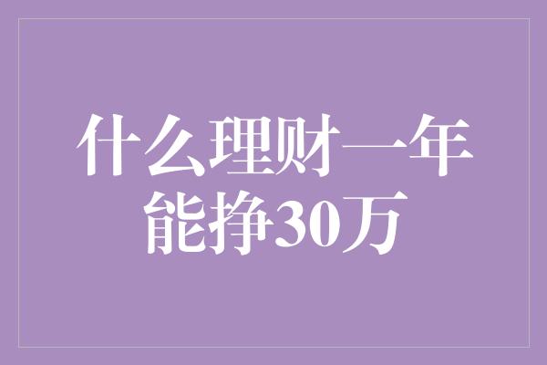 什么理财一年能挣30万