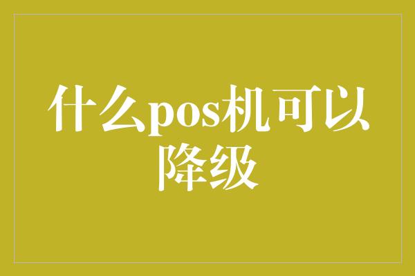 什么pos机可以降级