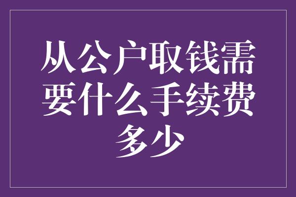 从公户取钱需要什么手续费多少