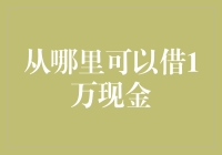 从何借取1万现金？探讨借入现金的五大途径